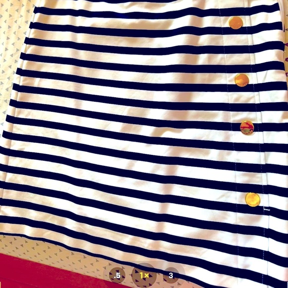 Elegant Skirt - Picture 4 of 5